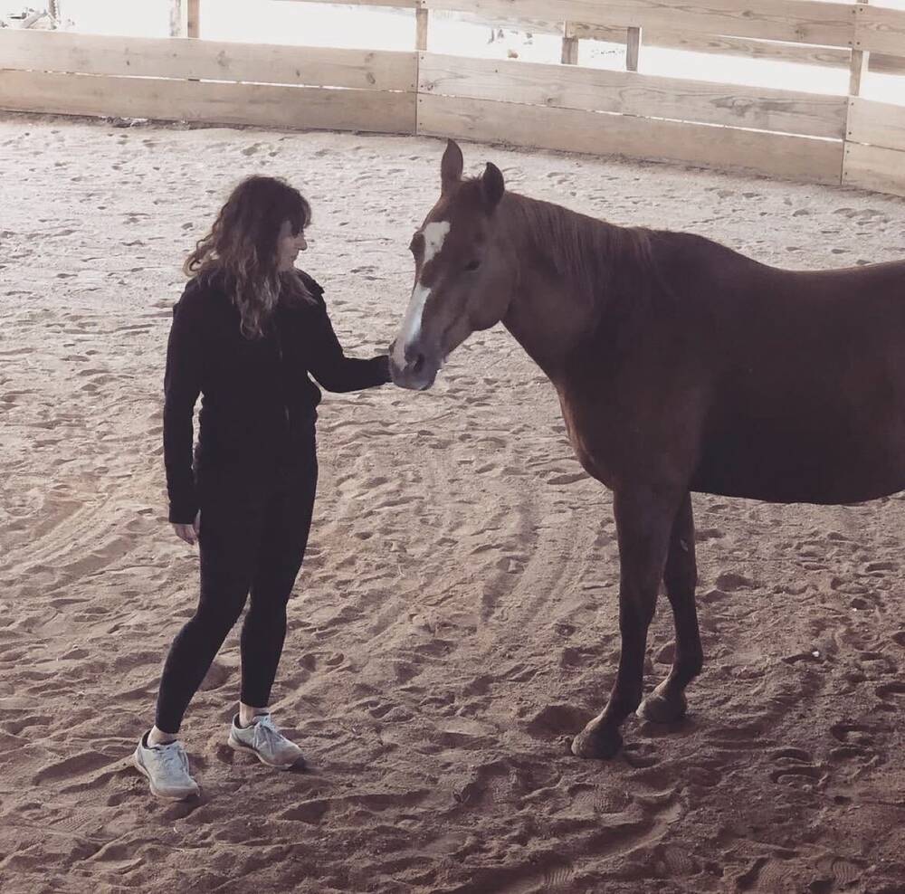 Dana Katz standing calmly with a horse